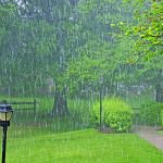 The benefits to using a rain measuring instrument in your own home