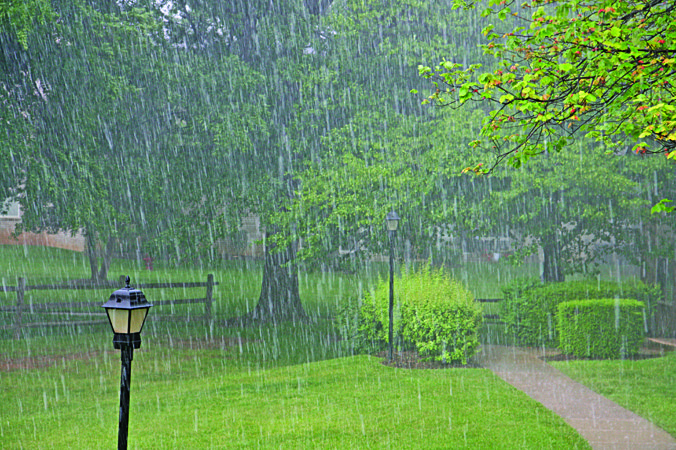 Rain at the Park