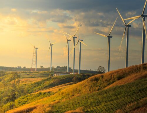 Wind Direction Instruments: Types, Uses & How They Work