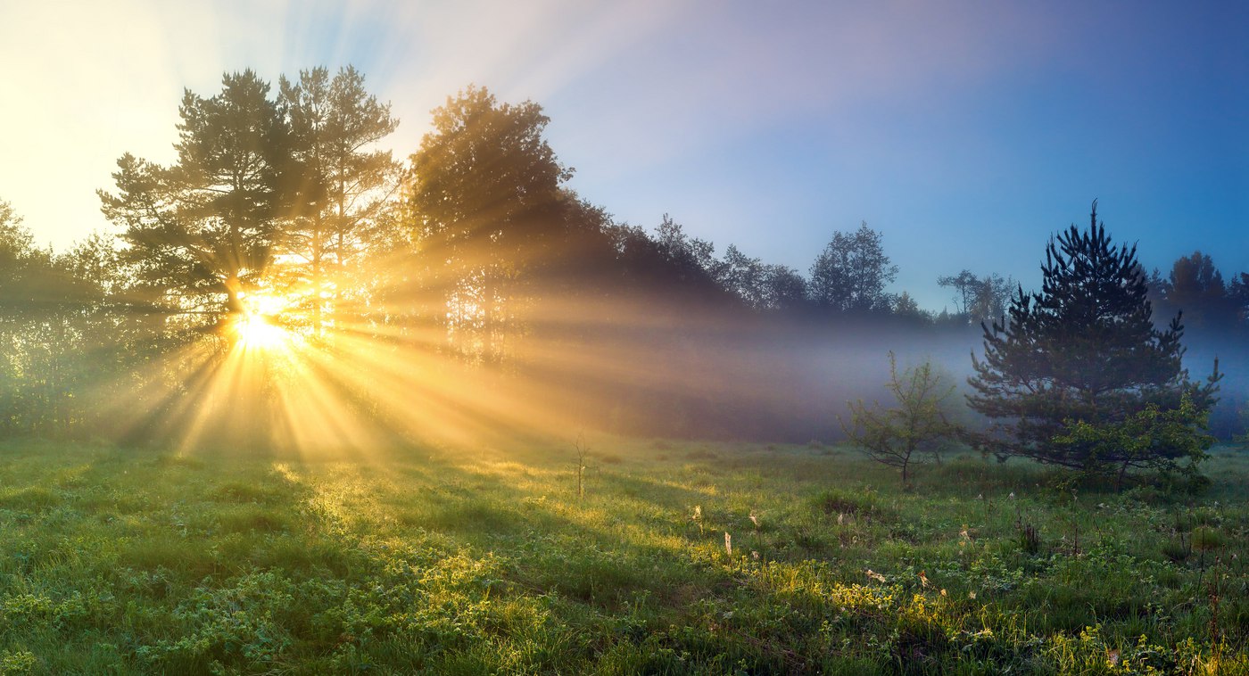 shutterstock_1099386764-min