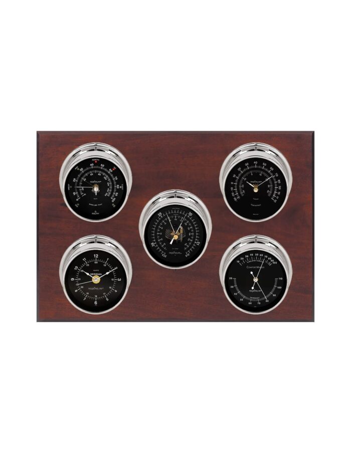 Professional Weather Station | Maximum