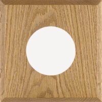 Single Instrument Oak Mounting Panel