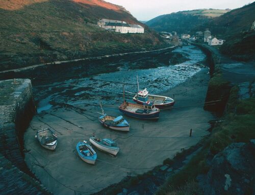 What Are Tides and How Do They Work?