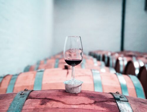 Why Wine Cellar Humidity Is Key to Great-Tasting Wine