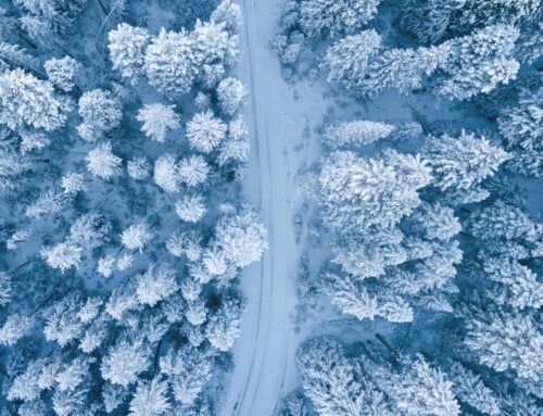 What Are the Different Types of Winter Storms?