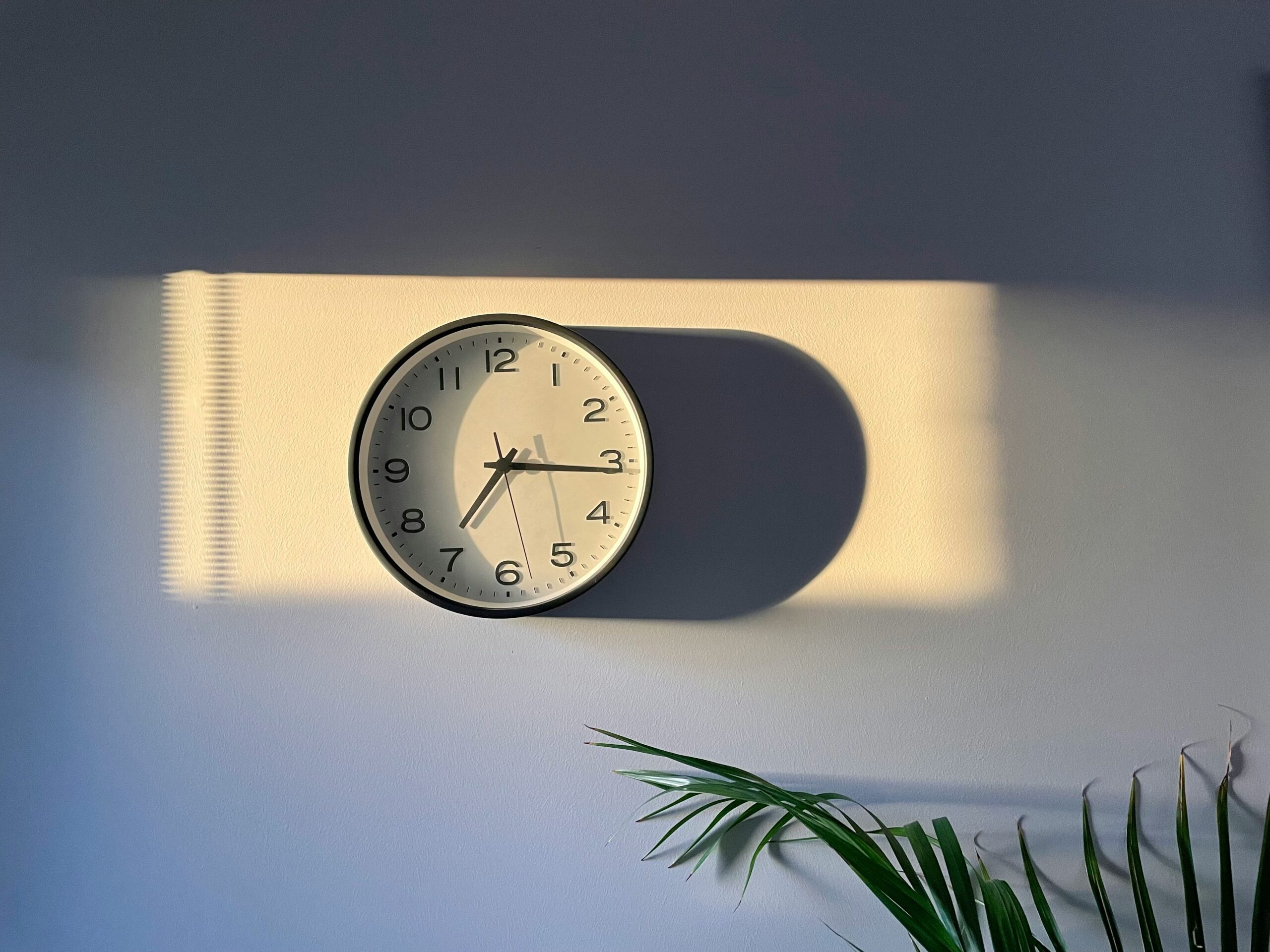 Daylight Savings